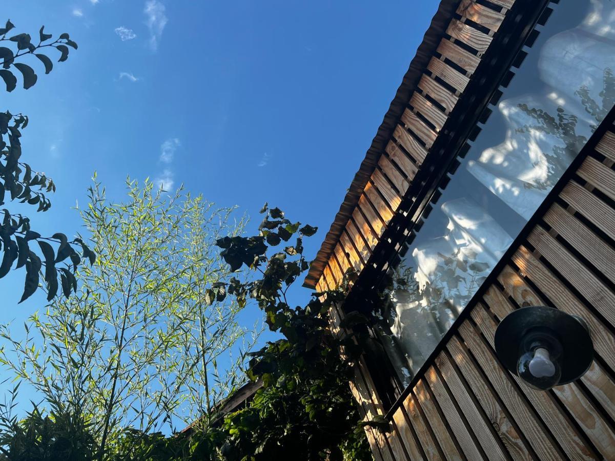 La cabane du 375, Piscine Clim,Jacuzzi et insolite Saint-Jean-de-Moirans Esterno foto